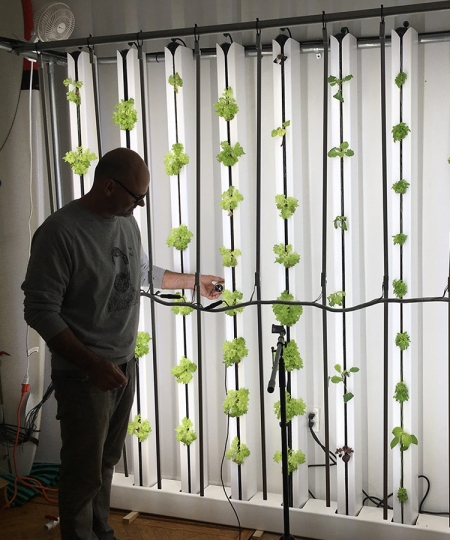 hydroponics_vertical